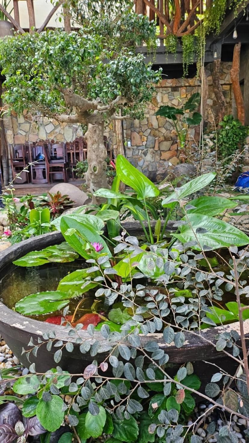 Phoenix Hotel An Bang Beach Hội An Kültér fotó